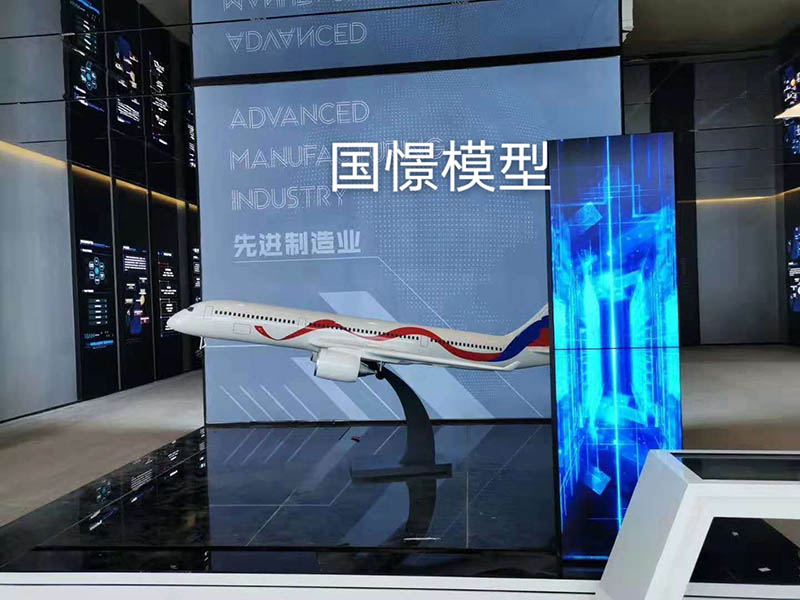 南岔县飞机模型