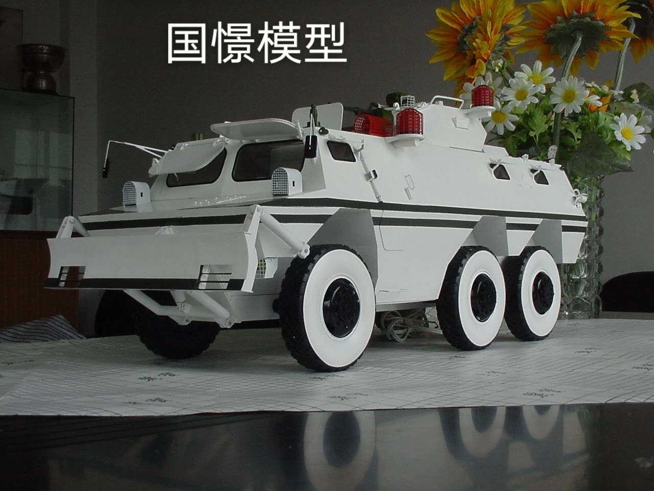 南岔县军事模型